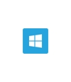 DevExpress Windows 10