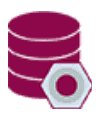 Direct Oracle Access Standard
